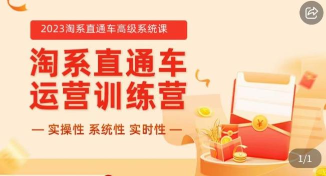 冠东·2023淘系直通车高级系统课，​实操性，系统性，实时性，直通车完整体系教学-逐浪前行