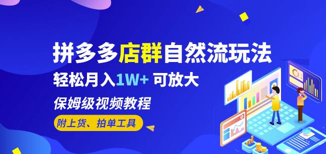 拼多多店群自然流玩法，轻松月入1W+保姆级视频教程（附上货、拍单工具）-逐浪前行