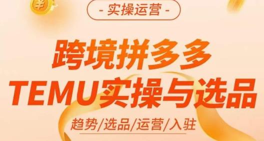伍跃·跨境拼多多TEMU实操与选品，​趋势/选品/运营/入住（27节完整）-逐浪前行