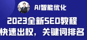 2023最新网站AI智能优化SEO教程,简单快速出权重,AI自动写文章+AI绘画配图-逐浪前行