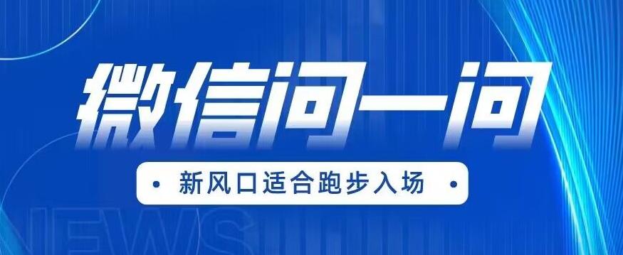 全网首发微信问一问新风口变现项目（价值1999元）【揭秘】-逐浪前行