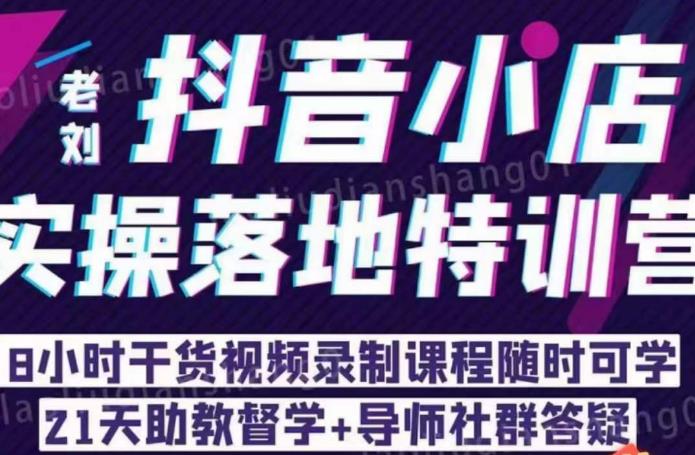 老刘·抖店商品卡流量，​抖音小店实操落地特训营，8小时干货视频录制课程随时可学-逐浪前行