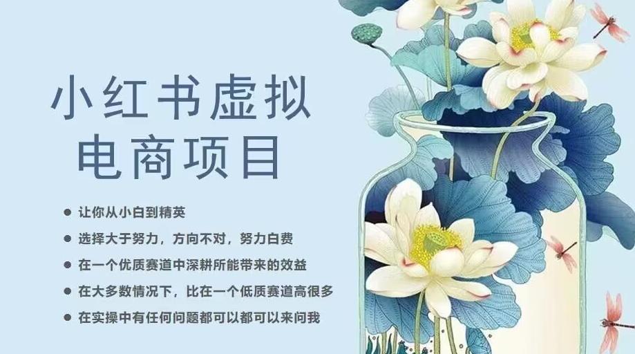 小红书虚拟电商从0到1，让你从小白到精英（20节实操课程）-逐浪前行