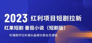2023红利项目短剧拉新,听潮阁学社月入过万红果短剧番茄小说CPA拉新项目教程【揭秘】-逐浪前行