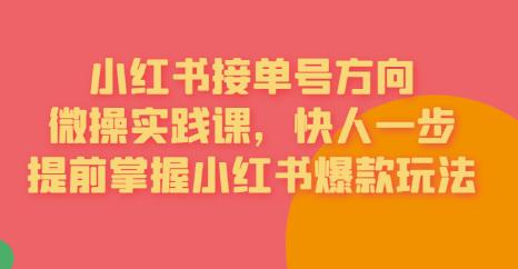 接单号方向·小红书微操实践课，快人一步，提前掌握小红书爆款玩法-逐浪前行