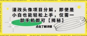 漫改头像项目分解,即使是小白也能轻松上手,仅需一部手机即可【揭秘】-逐浪前行