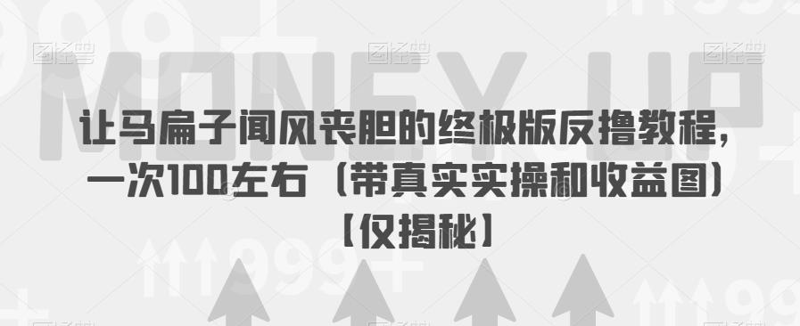让马扁子闻风丧胆的终极版反撸教程，一次100左右（带真实实操和收益图）【仅揭秘】-逐浪前行
