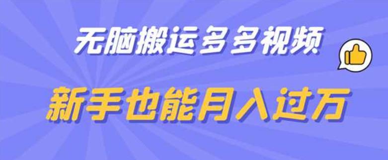 无脑搬运多多视频，新手也能月入过万【揭秘】-逐浪前行
