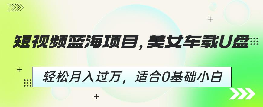 短视频蓝海项目，美女车载U盘，轻松月入过万，适合0基础小白【揭秘】-逐浪前行