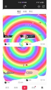 冷门高利润项目,小红书带货,无脑搬运,一部手机实现日入500+【揭秘】-逐浪前行