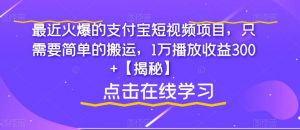 最近火爆的支付宝短视频项目,只需要简单的搬运,1万播放收益300+【揭秘】-逐浪前行