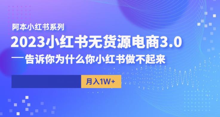 阿本小红书无货源电商3.0，告诉你为什么你小红书做不起来-逐浪前行