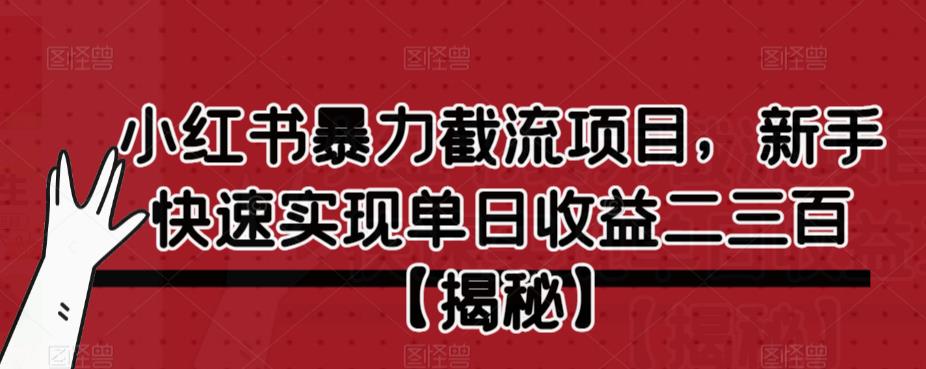 小红书暴力截流项目，新手快速实现单日收益二三百【仅揭秘】-逐浪前行