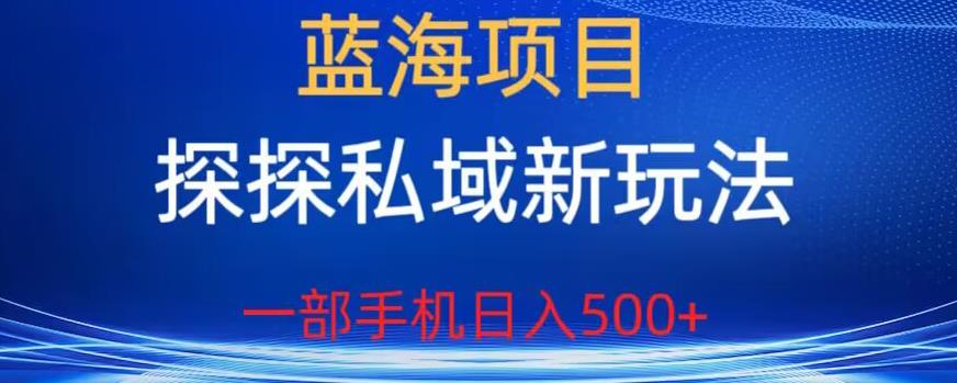 蓝海项目，探探私域新玩法，一部手机日入500+很轻松【揭秘】-逐浪前行