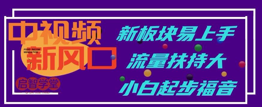中视频新风口，新板块易上手，流量扶持大，小白起步福音【揭秘】-逐浪前行
