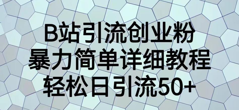 B站引流创业粉，暴力简单详细教程，轻松日引流50+【揭秘】-逐浪前行