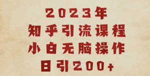 2023知乎引流课程,小白无脑操作日引200+【揭秘】-逐浪前行