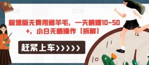 极速版无费用薅羊毛,一天躺赚10-50+,小白无脑操作【拆解】-逐浪前行