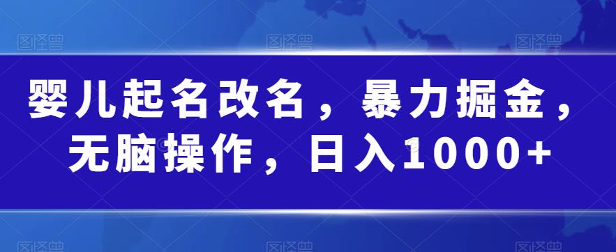 婴儿起名改名，暴力掘金，无脑操作，日入1000+【揭秘】-逐浪前行