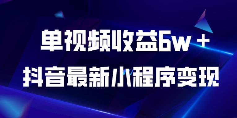抖音最新小程序变现项目，单视频收益6w＋，小白可做【揭秘】-逐浪前行