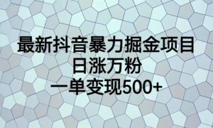 最新抖音暴力掘金项目,日涨万粉,一单变现500+【揭秘】-逐浪前行