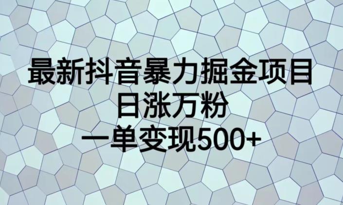 最新抖音暴力掘金项目，日涨万粉，一单变现500+【揭秘】-逐浪前行
