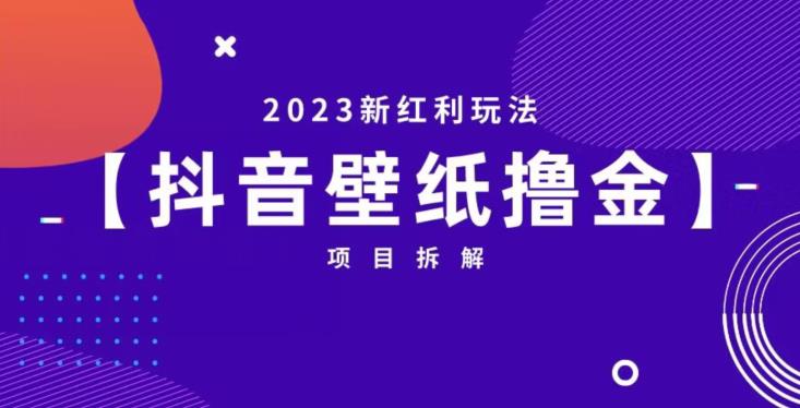 抖音壁纸小程序创作者撸金项目，2023新红利玩法【项目拆解】-逐浪前行