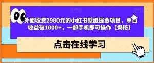 外面收费2980元的小红书壁纸掘金项目,单日收益破1000+,一部手机即可操作【揭秘】-逐浪前行