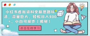 小红书虚拟资料全新思路玩法,流量巨大,轻松日入300+,小白可操作【揭秘】-逐浪前行