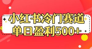 小红书冷门赛道,单日盈利500+【揭秘】-逐浪前行