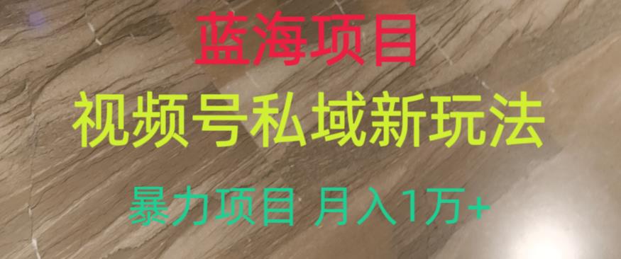蓝海项目，视频号私域新玩法，暴力项目月入1万+【揭秘】-逐浪前行