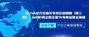 TikTok全方位通关专项企业陪跑【第三期】,从0到1真正的企业TK电商运营全流程-逐浪前行