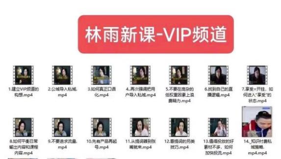 林雨新课VIP频道，玩赚私域/朋友圈/社群-逐浪前行