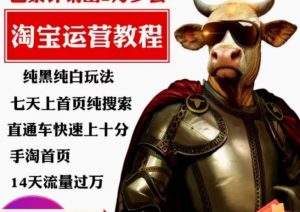 猫老师·淘系算法逆向解密,纯黑纯白玩法,七天上首页纯搜索,手淘首页14天流量过万-逐浪前行