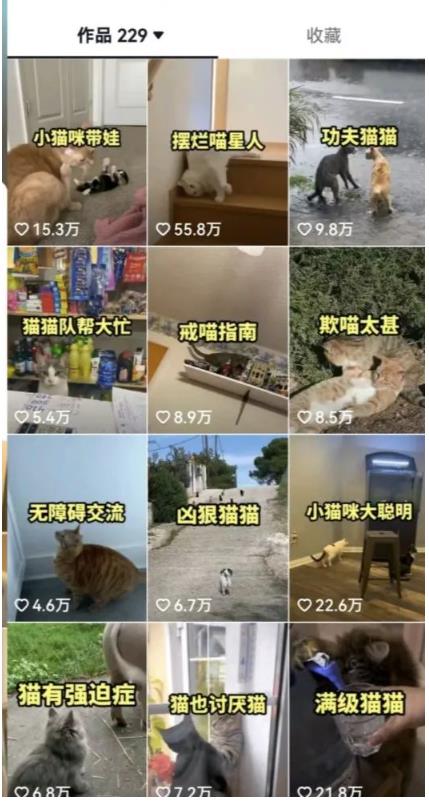 拆解：抖音盘点类中视频变现副业项目，视频版一条龙大解析分享给你-逐浪前行