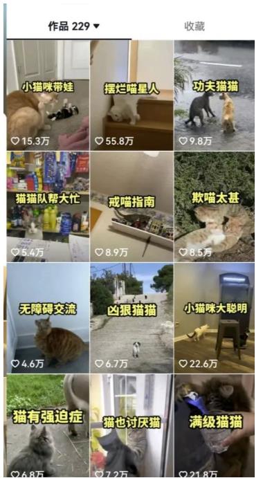 拆解抖音盘点类中视频变现副业项目，视频版一条龙大解析分享给你【视频课程】-逐浪前行
