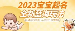 抖音美女图文+音乐推广5.0版本,单日单号500+,0本0粉可矩阵,五分钟一个视频【揭秘】-逐浪前行