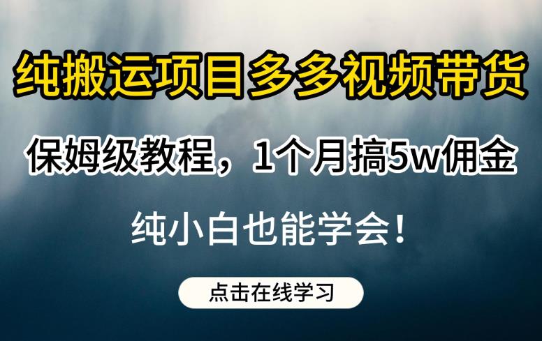 纯搬运项目多多视频带货保姆级教程，1个月搞5w佣金，纯小白也能学会【揭秘】-逐浪前行