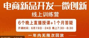 南掌柜·电商新品开发——微创新,电商新品微创新是你企业发展的护城河-逐浪前行