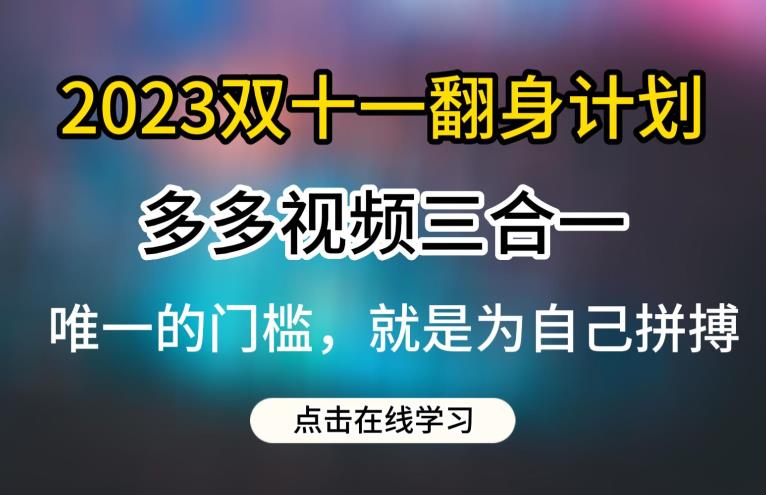 2023双十一翻身计划，多多视频带货三合一玩法教程【揭秘】-逐浪前行