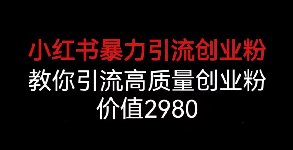 小红书暴力引流创业粉，教你引流高质量创业粉，价值2980【揭秘】-逐浪前行