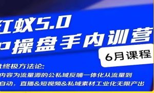 红蚁5.0IP操盘手内训营,IP操盘终极方法论-逐浪前行