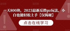 一天800块,2023最新反撸pz玩法,小白也能轻松上手【仅揭秘】-逐浪前行