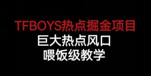 TFBOYS热点掘金项目,巨大热点风口,喂饭级教学-逐浪前行