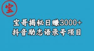 宝哥揭秘日赚3000+抖音励志语录号短视频变现项目-逐浪前行