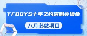 最新蓝海项目,靠最近非常火的TFBOYS十年之约演唱会流量掘金,八月必做的项目【揭秘】-逐浪前行