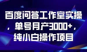 百度问答工作室实操,单号月产3000+,纯小白操作项目【揭秘】-逐浪前行