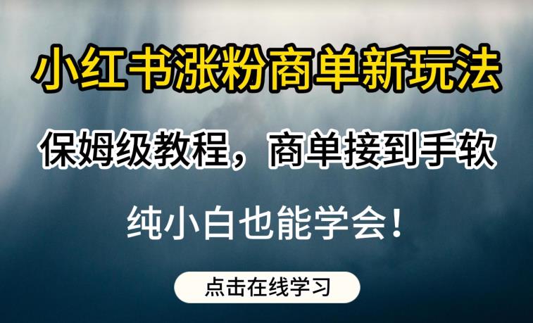 小红书涨粉商单新玩法，保姆级教程，商单接到手软，纯小白也能学会【揭秘】-逐浪前行