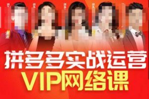 推易拼多多VIP全套直播课程,拼多多店铺实操玩法+实战玩法选款内功+直通车高阶等-逐浪前行