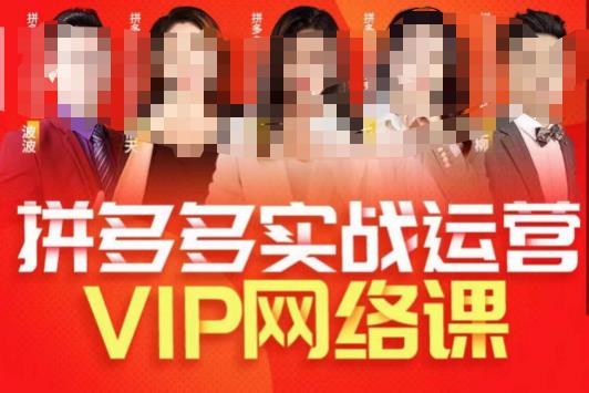 推易拼多多VIP全套直播课程，拼多多店铺实操玩法+实战玩法选款内功+直通车高阶等-逐浪前行